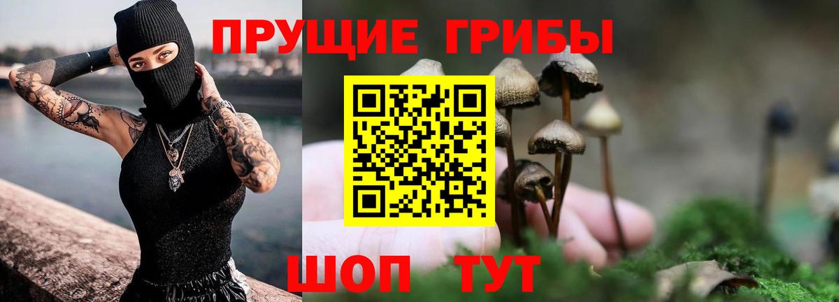 Галлюциногенные грибы прущие грибы  Галлюциногенные грибы Cubensis  Вход с VPN  Вышний Волочёк 